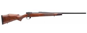 Chesapeake Gunslingers
