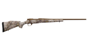 Chesapeake Gunslingers