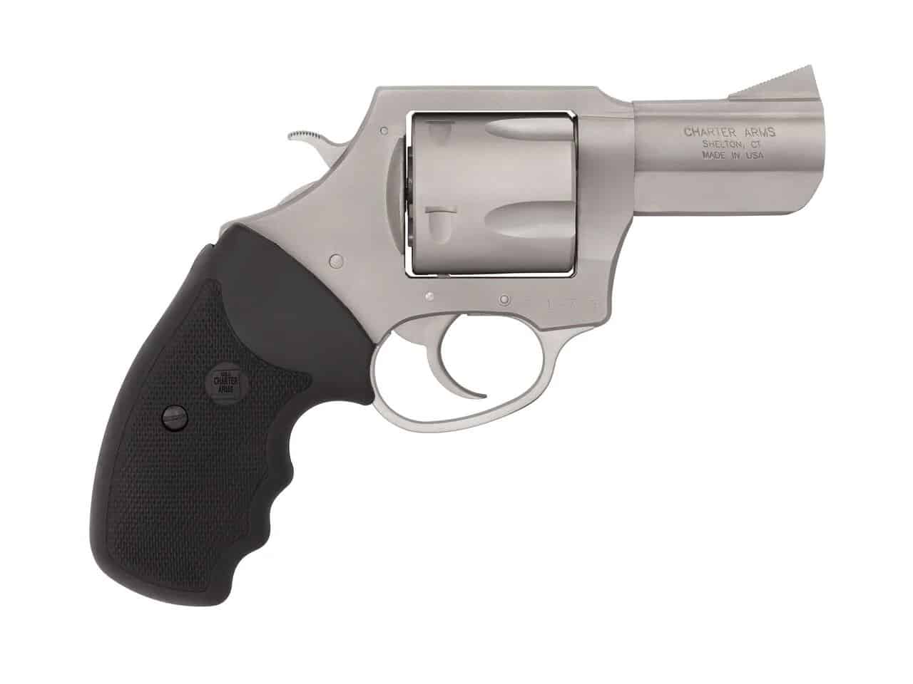 CHARTER Arms Bulldog 45lc Stainless 2.5"