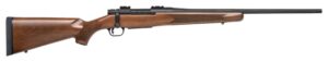 Chesapeake Gunslingers