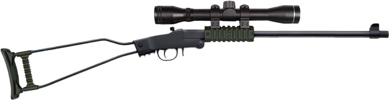 CHIAPPA Little Badger 22lr