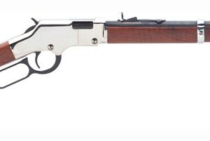 HENRY GOLDEN BOY SILVER .17HMR