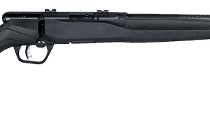 SAVAGE ARMS B17 COMPACT 17HMR BL/SYN 18"