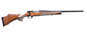 Chesapeake Gunslingers