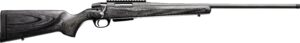 Chesapeake Gunslingers