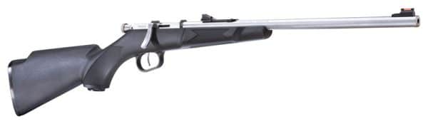HENRY MINI BOLT 22S/L/LR - 16.25" S/S SYNTHETIC