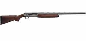 Chesapeake Gunslingers