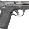 S&W BODYGUARD 2.0 380ACP 2.75" - 10RD MAGS BLACK SAFETY - Image 2
