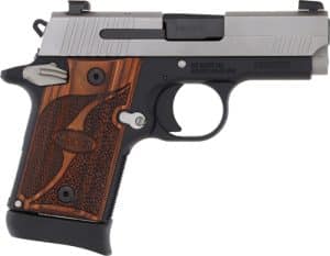 Chesapeake Gunslingers
