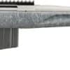 RUGER AMERICAN GENII 22 ARC - 20" GRAY GRAY SPLATTER SYN