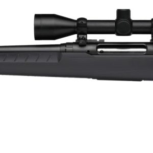 SAVAGE ARMS AXIS 2 243WIN BL/GRY PKG LH