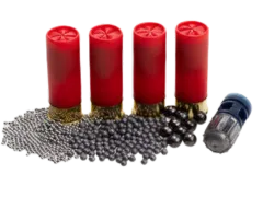 shotguns shells