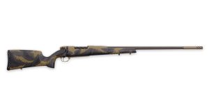 Chesapeake Gunslingers