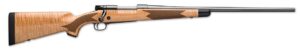 Chesapeake Gunslingers