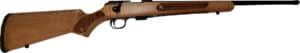 Chesapeake Gunslingers