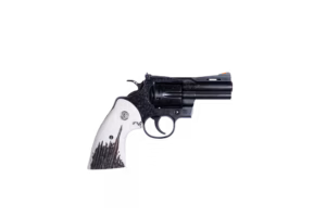 Chesapeake Gunslingers