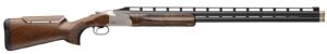 Chesapeake Gunslingers