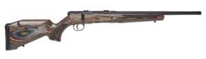 Chesapeake Gunslingers
