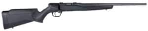 Chesapeake Gunslingers
