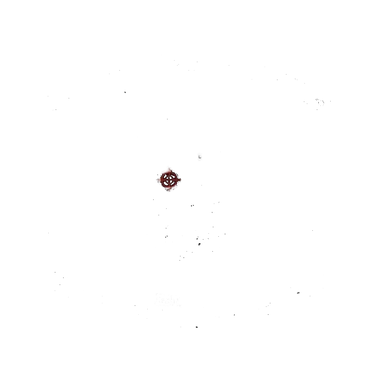 chesapeake gunslinger logo white