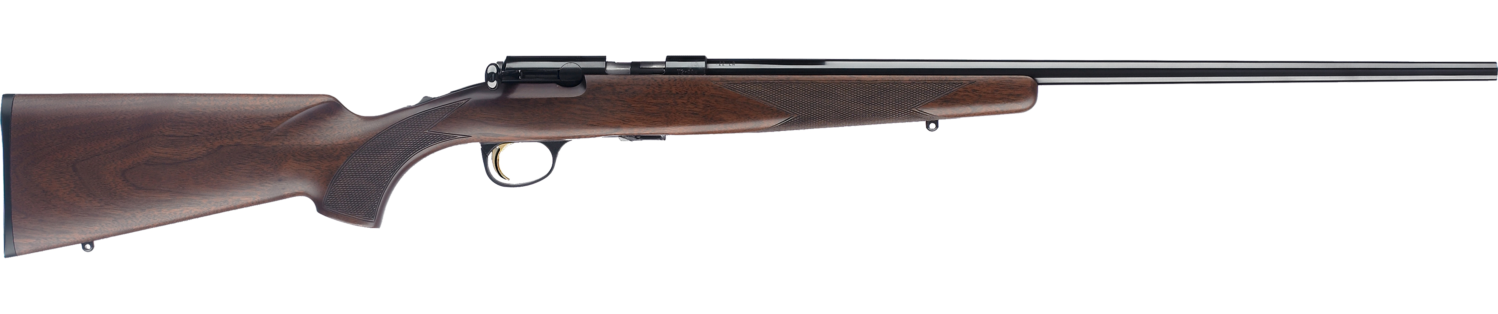 BRN T-BOLT SPRTR RFL 22LR B