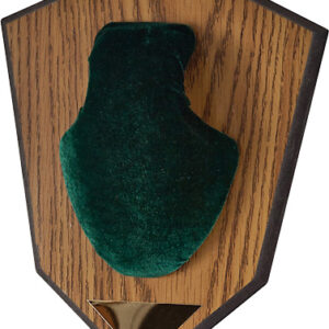 ALLEN ANTLER MOUNTING KIT - GREEN