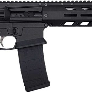 Wraithworks WARP-15 Polymer AR15 Rifle - Black | .223 Wylde | 16" 416-R Stainless Barrel | Nickel Teflon Trigger | Integral Buttstock & Textured Pistol Grip | Trap Door Buttplate | Lightweight Rifle Only 5 lbs